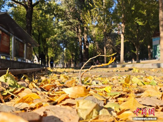 S54·܉܇ؾh(hun)߅L(fng)ò(j)S~䁝M· z