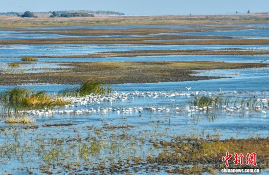 1016ĪĪҼȻo^(q)(ni)ڑˮ(o˙CƬ)w z