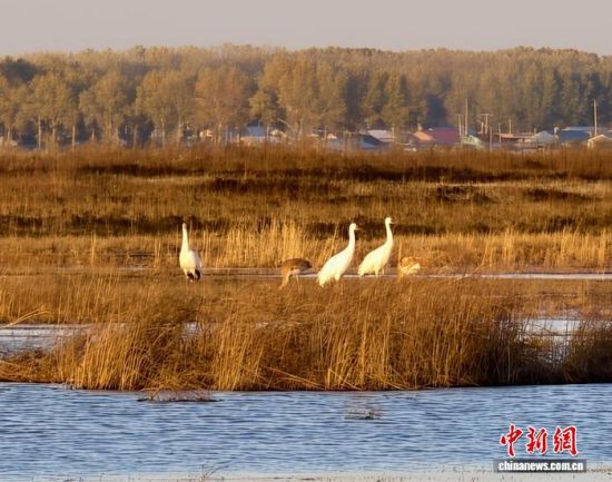 ؚwQȺġС()˰QȺwr z