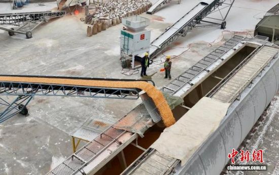 118ɢZԭZ쌣þb܇I(y) z