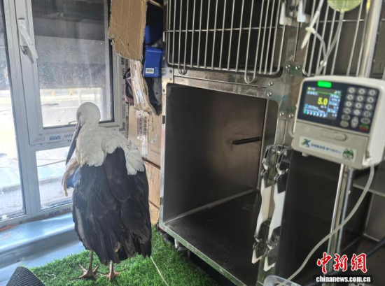 ܂Ė|XڽݔҺίʯ z