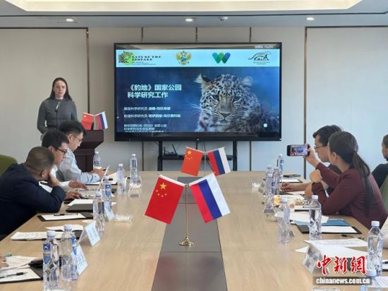 _˹ҷo(h)|(jng)(yn) z