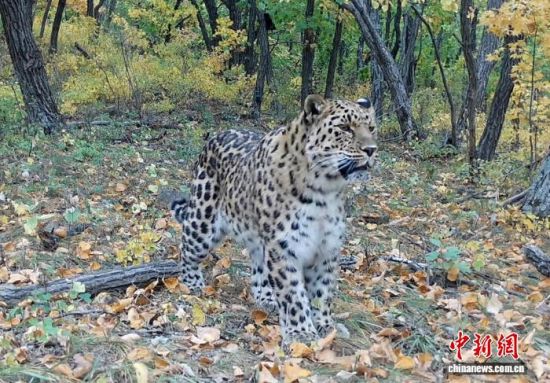 2025ږ|ҹ@ĔzĖ|(ҕýD)