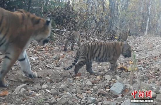 2025ږ|ҹ@ĔzĖ|(ҕýD)