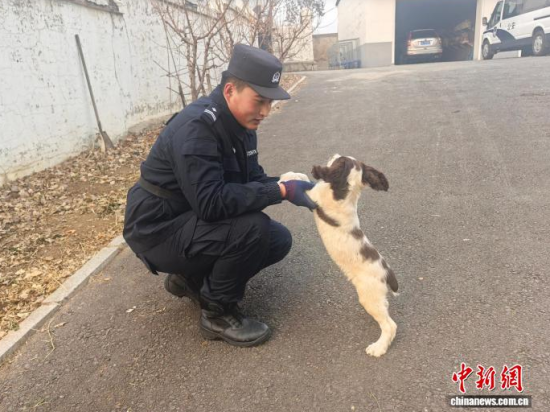 Ҳc[B(yng)Hܶʯ z