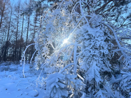 �ػ���ί������/���D