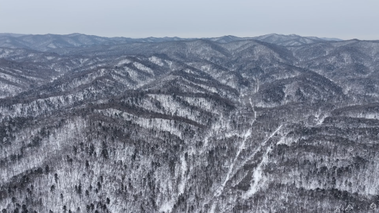 ���AƤ���(zh��n)ĵ���X�� �������ý�w���Ĺ��D