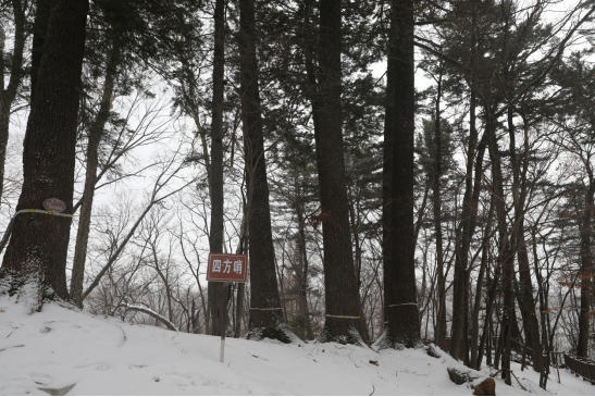 �ķ��������ڵ��� �������ý�w���Ĺ��D