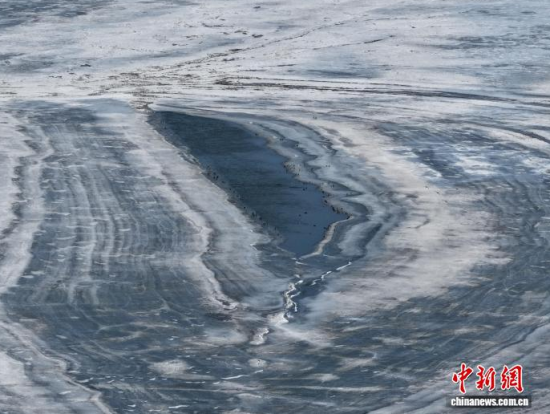 3��16���������(zh��n)�l�������������ڣ����BͣЪҒʳ���������� �z