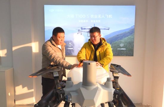 ���D�hί������/���D