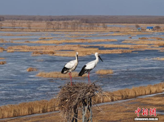 3��16�գ������(zh��n)�l��һ��(du��)�|�����X��ĪĪ���صĳ����������������� �z