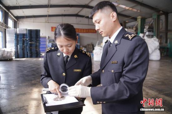 �L(zh��ng)��ɽ���P(gu��n)�P(gu��n)�T�_(k��i)չ�����K�Ѳ��(y��n)���L(zh��ng)�����P(gu��n)���D