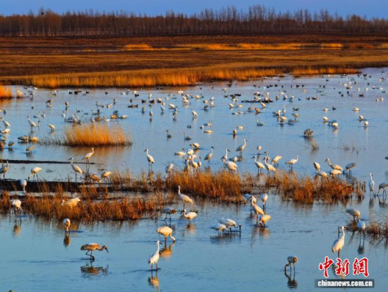 4��11���������(zh��n)�l�����Q����ϡ�B���ĪĪ����Ғʳ���������� �z