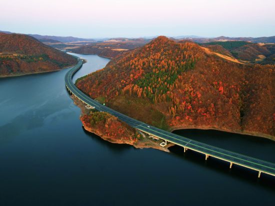 ����ʡ�Q��������������߼��F(tu��n)/���D