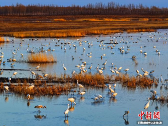 4��11�գ������(zh��n)�l�����Q����ϡ�B���ĪĪ����Ғʳ���������� �z